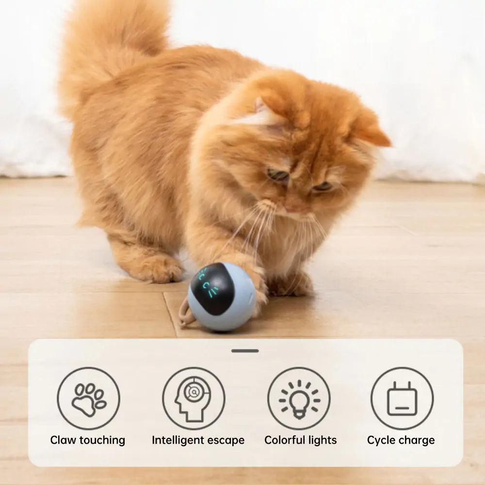 Electronic ball toy for kittens with interactive features,
High-tech electronic ball for keeping kittens entertained,
Battery-operated electronic ball toy for playful kittens,
Interactive kitten electronic ball with flashing lights and sounds,
Durable electronic ball toy for stimulating kitten playtime,
Remote-controlled electronic ball for active kittens,
Safe and engaging electronic ball for kittens' exercise and fun,
Electronic kitten ball with automatic movement for solo play,